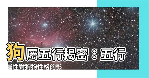 狗五行屬性|【屬狗 五行】揭秘「屬狗五行」對不同屬性者的性格命運影響